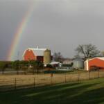 Rainbow over the farm.