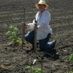 Mary hard at work in the garden.